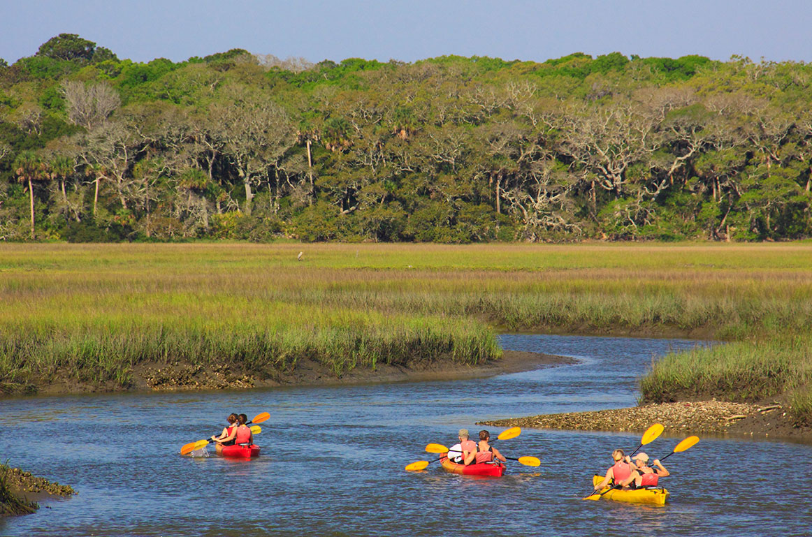 Nature Activities in North Florida