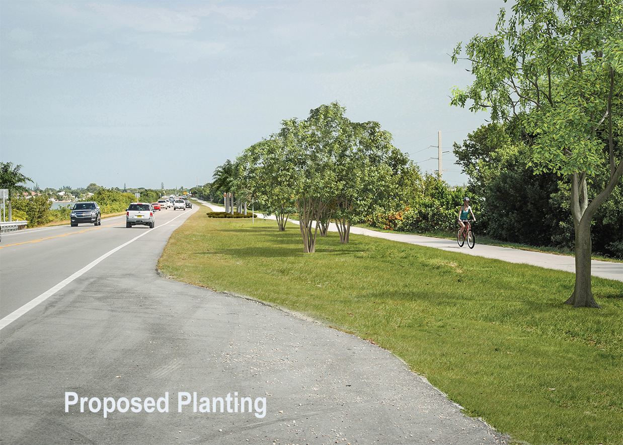 Proposed Planting
