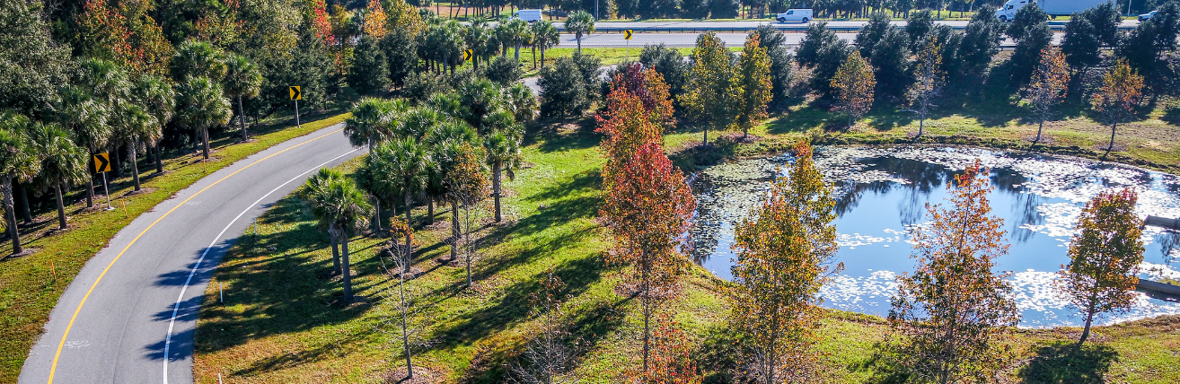 FDOT I-95 & US 17 Interchange Landscape