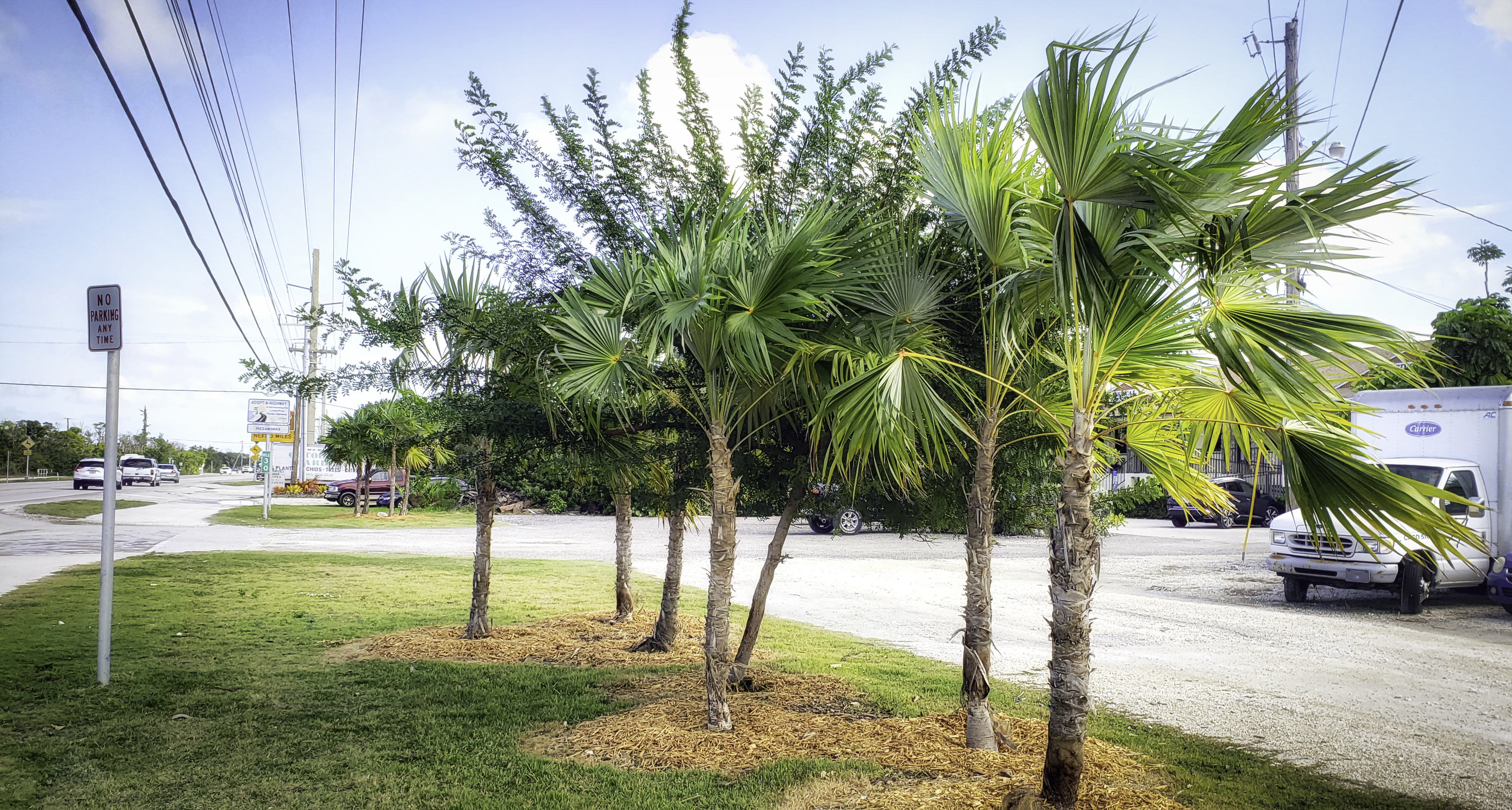 Big Pine Key