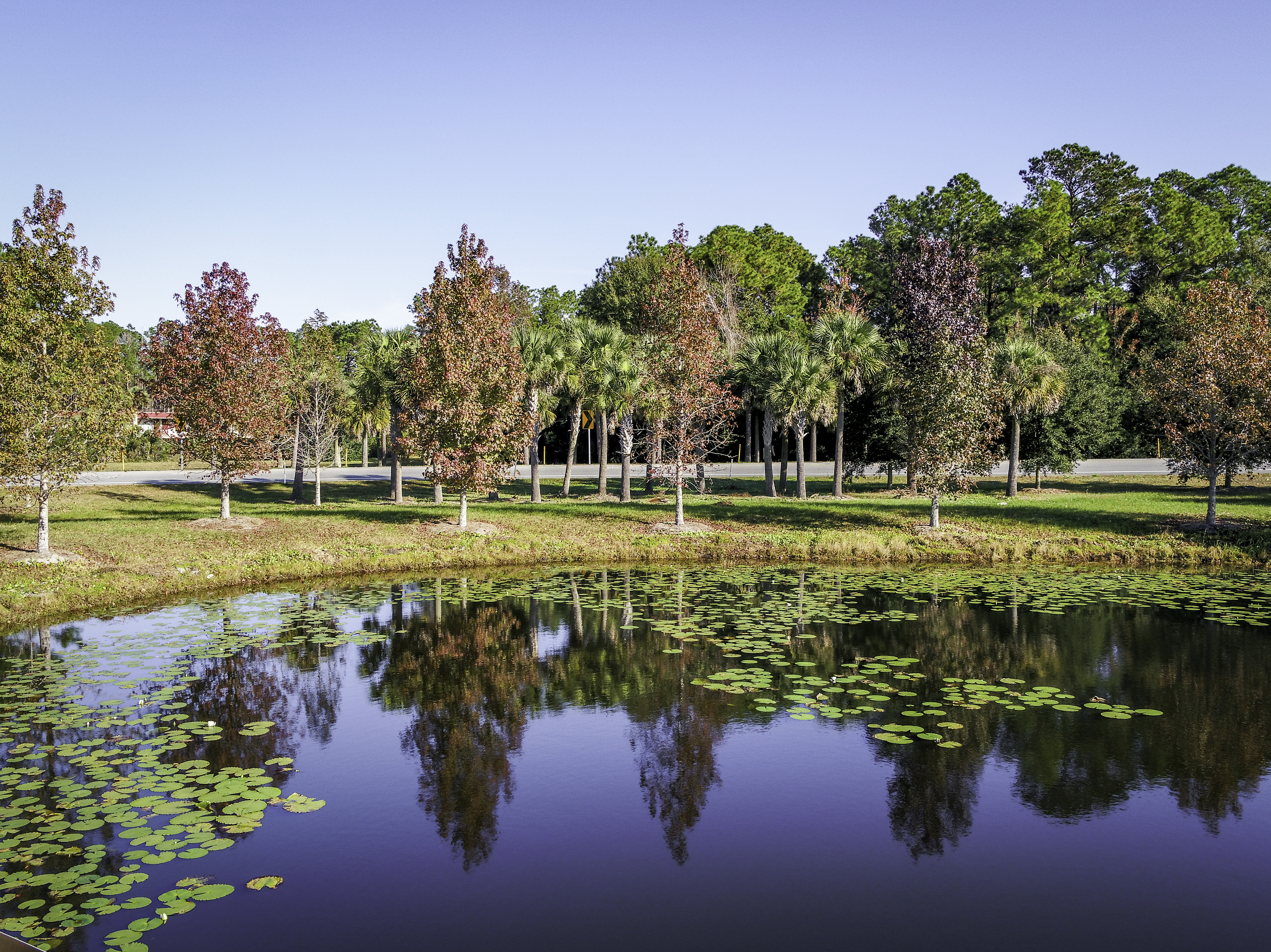 FDOT I-95 & US 17 Interchange Landscape